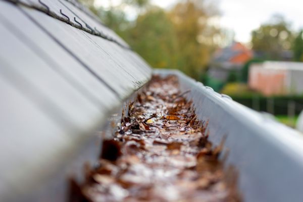 Cost of Commercial Gutter Cleaning in Maryville