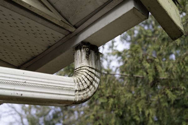 Cost of Downspout Cleaning in Maryville