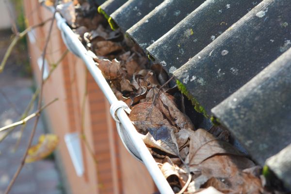 Home Gutter Cleaning Service