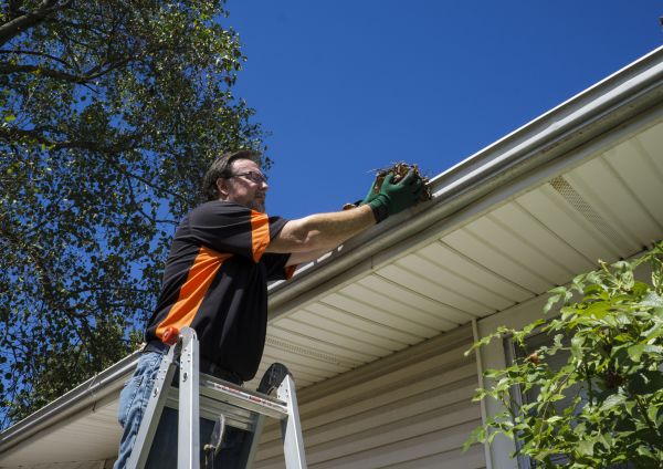 Cost of Eavestrough Clearing in Maryville