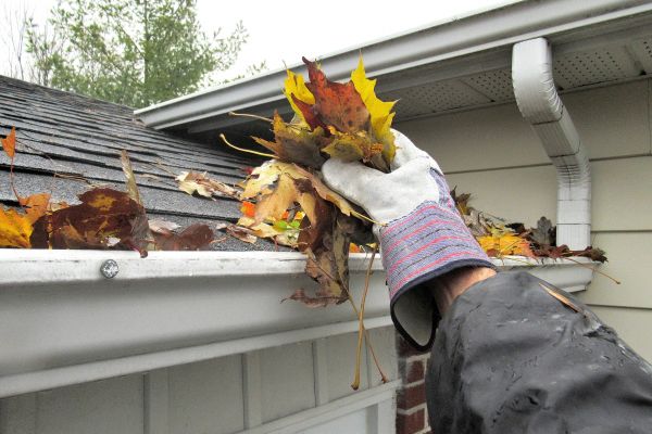 Cost of Gutter Blockage Removal in Maryville