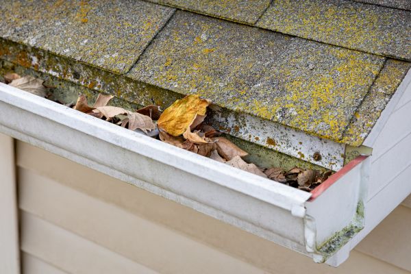 Cost of Garage Gutter Cleaning in Maryville