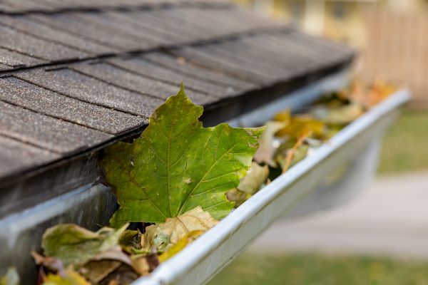 Cost of Gutter Leaves Removal in Maryville