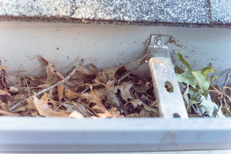 Clogged Gutter Blockage