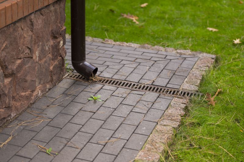 Gutter Drain Maintenance