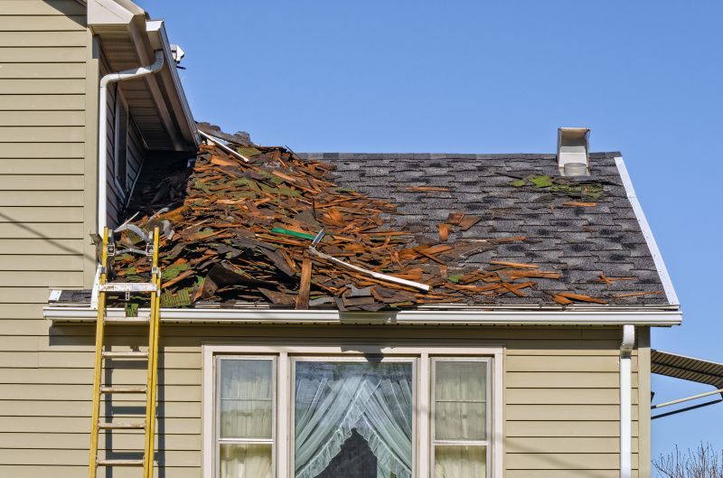 Roof Gutter Debris Removal