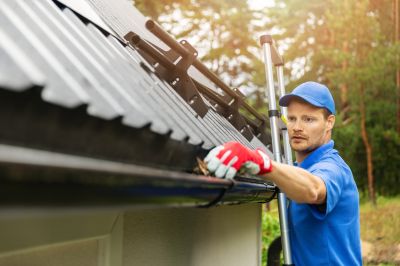 Specialized Gutter Cleaning Services